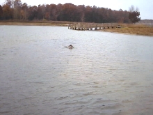 Hunter Retrieve