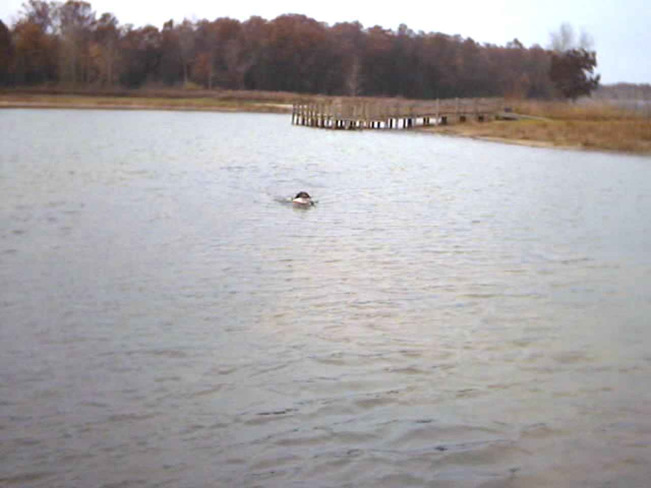 Hunter Retrieve