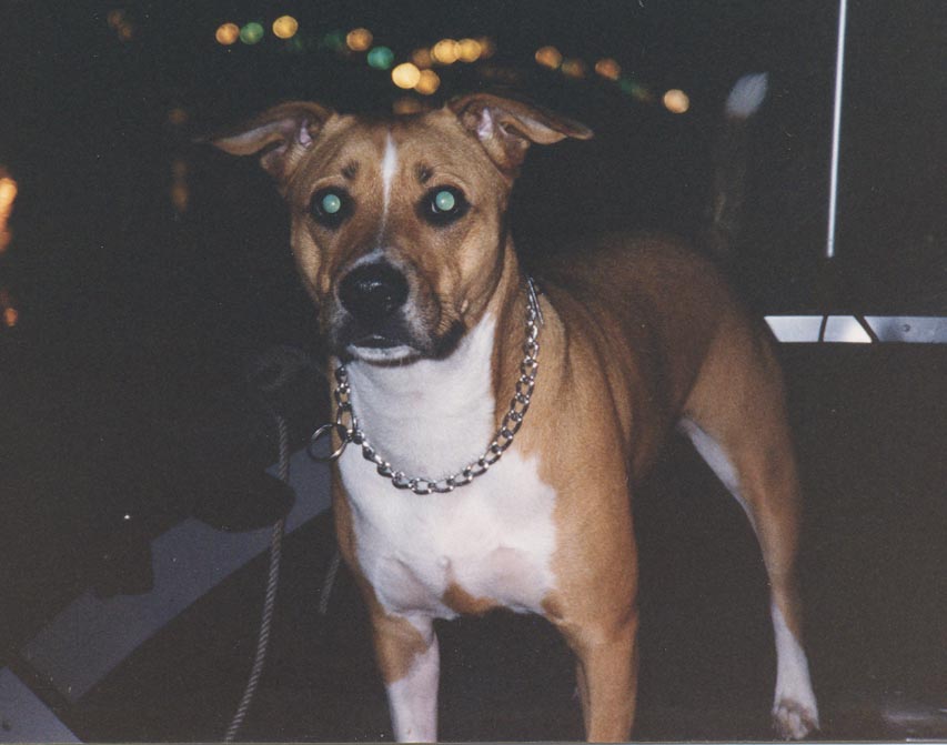 Tuffy on the NIGHT BITE!