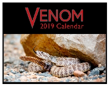 Venom 2019 Calendar Cover