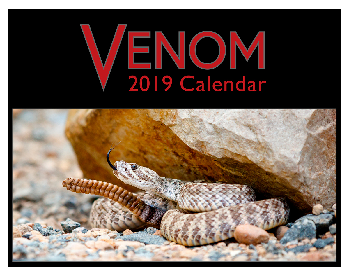 Venom 2019 Calendar Cover