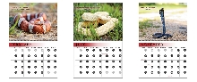A few previews of the Venom 2019 Calendar