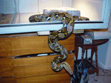 retic