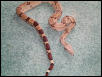 boa2