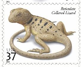 Collared Lizard Stamp