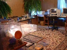 Feeder room