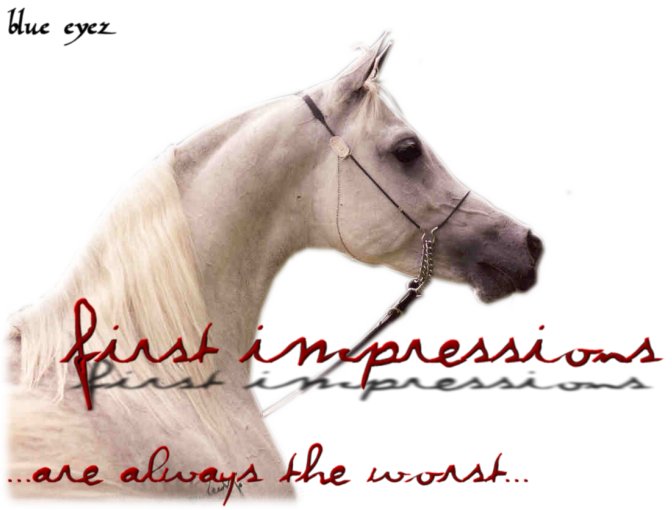 First Impressions