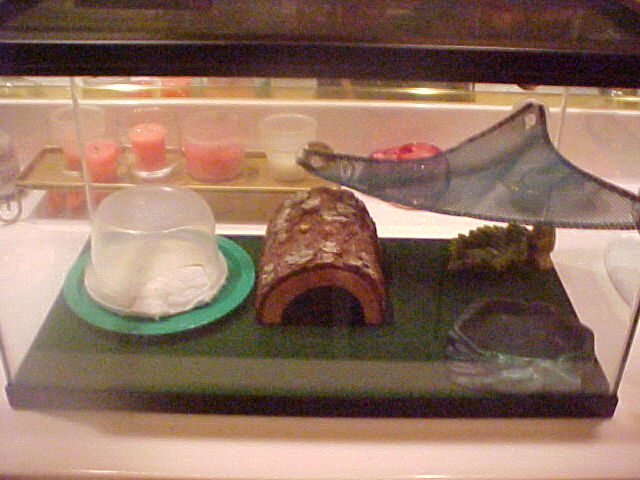 Mikas cage