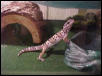Stretch