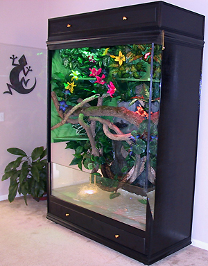Boas Paradise