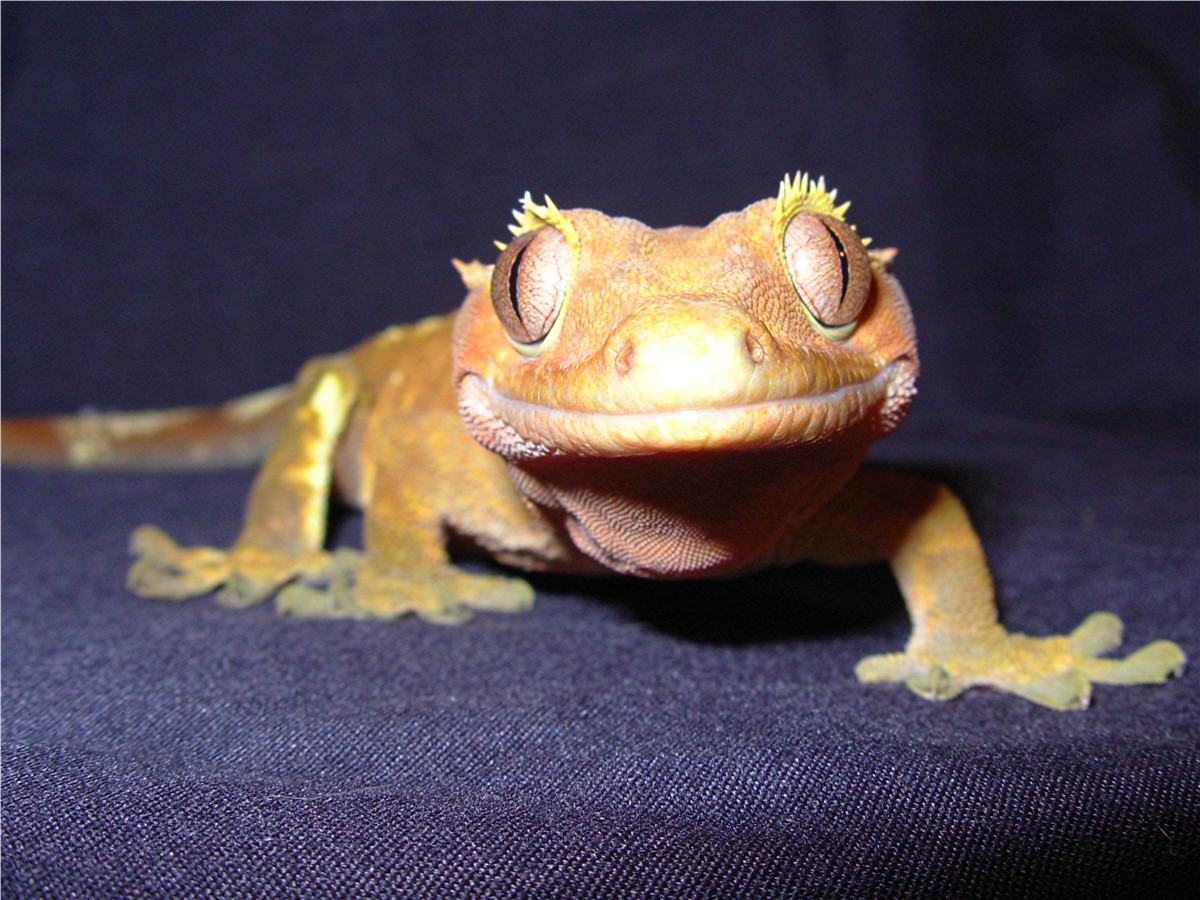 smile for the camera!