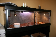 red tail enclosure