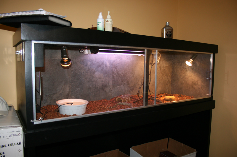 red tail enclosure