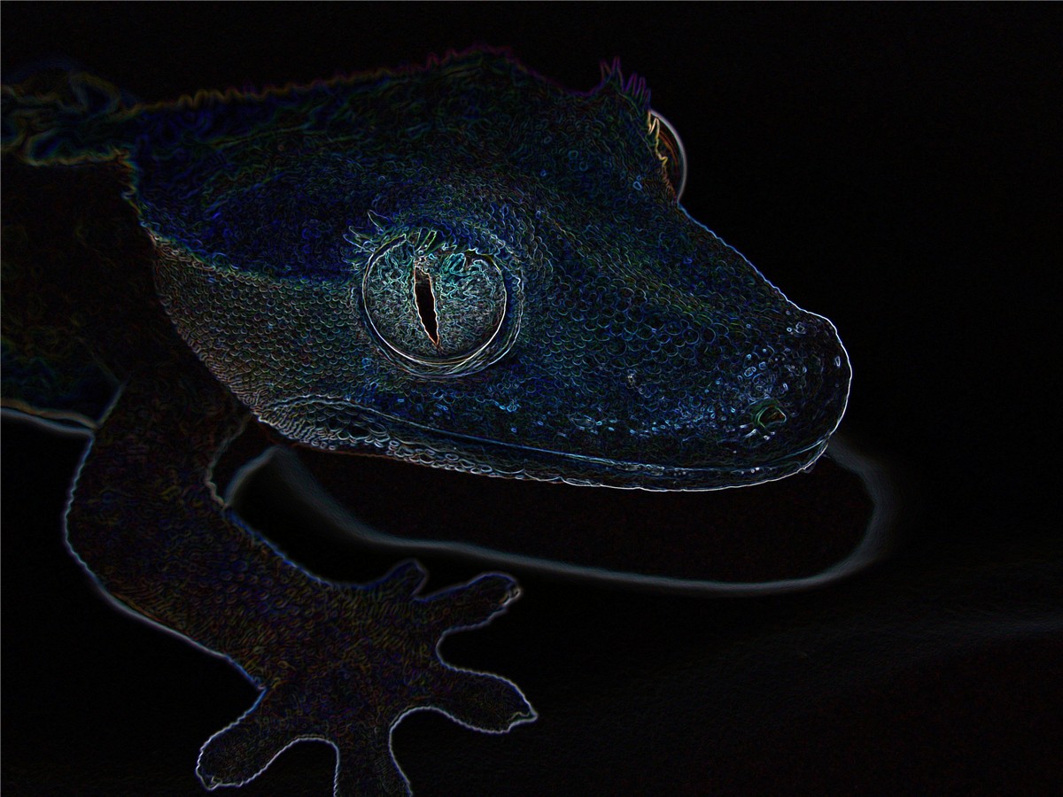 Digital Art 2