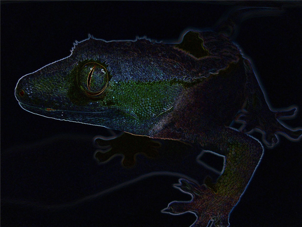 Digital Art