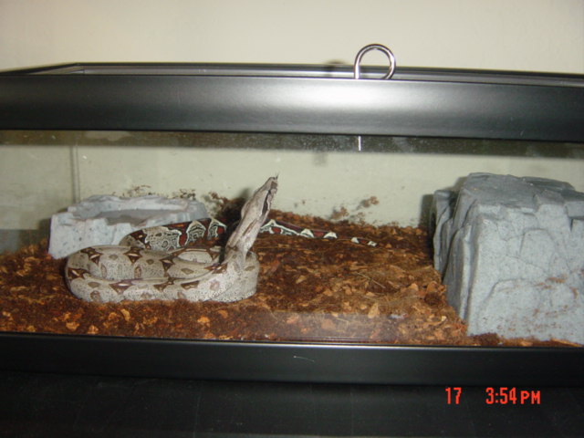 Marge (Guyana)