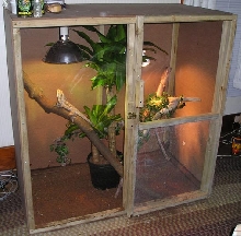 Frilled Dragon Cage