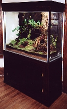 Custom Vivarium