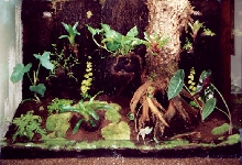 Inside View os Vivarium