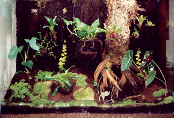 Inside View os Vivarium