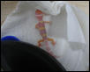 3 day old albino