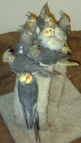 Group Photo