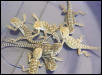 Rankins Dragons