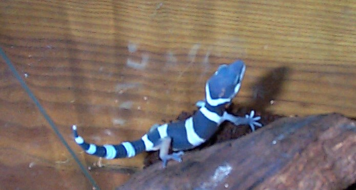 My second baby