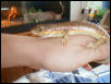 lissy1