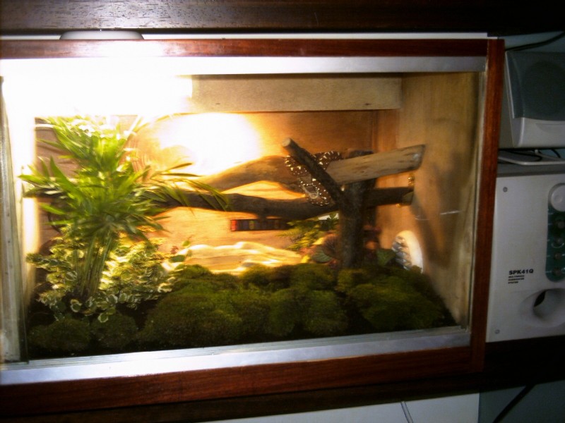 GTP natural cage
