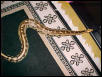 Adult female Borneo Blood