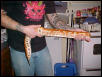 Female Sumatran Red Blood