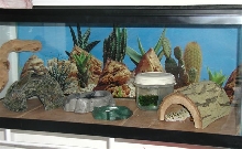 Enclosure with Tile