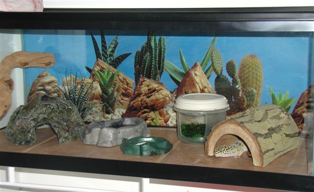 Enclosure with Tile