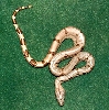 Hypo 1