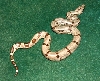 Hypo 4