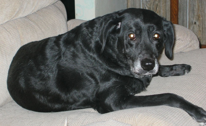 Cajun