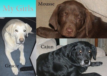 My Labs
