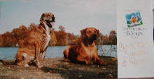 Christmas Card 2002