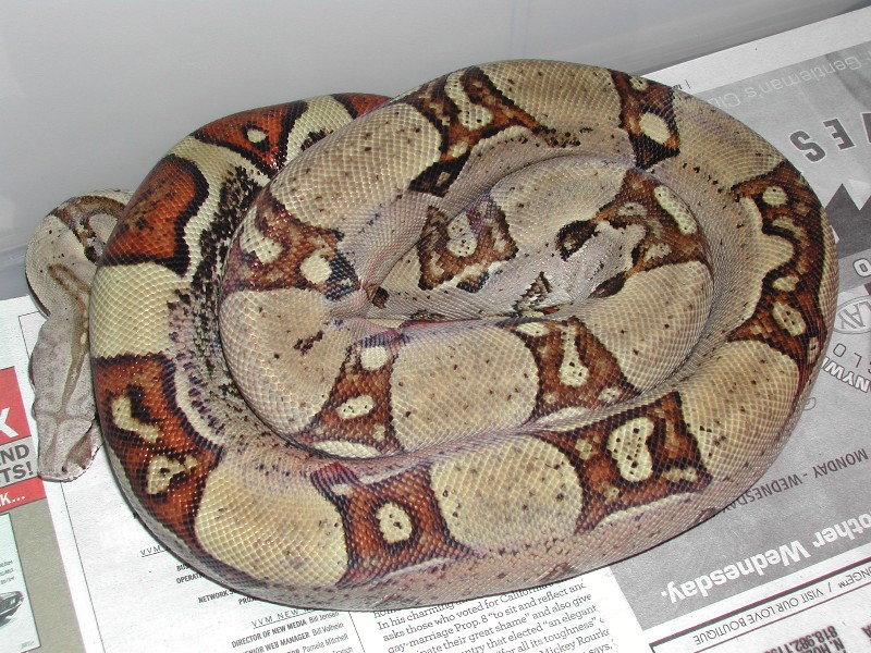 07JungleF - 052009 pic1