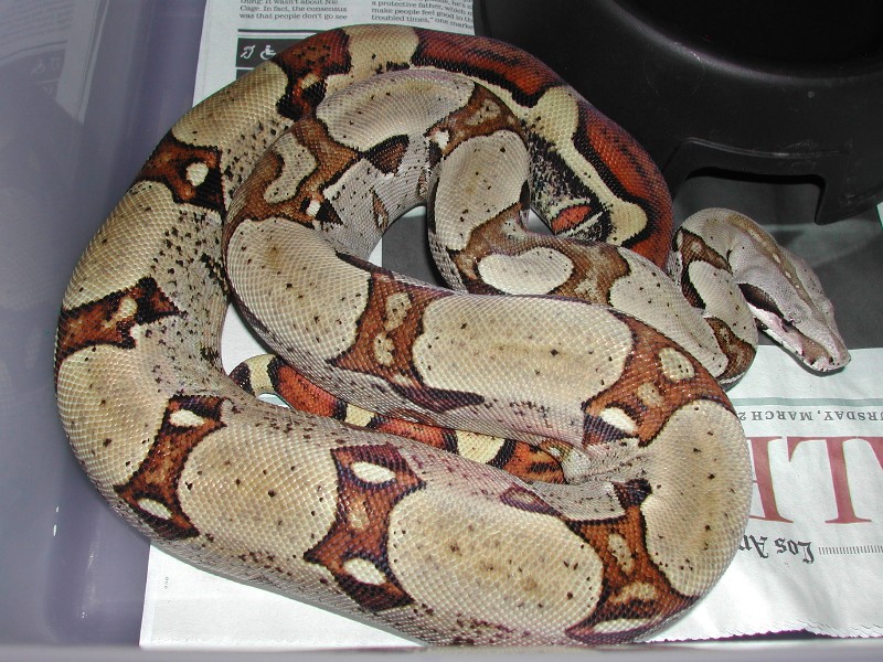 07JungleM - 052009 pic1