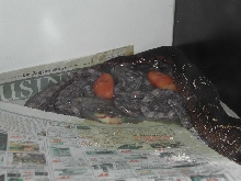 BCO Birth - pic6
