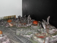 BCO Birth - pic1