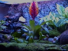 Leftside of tank
