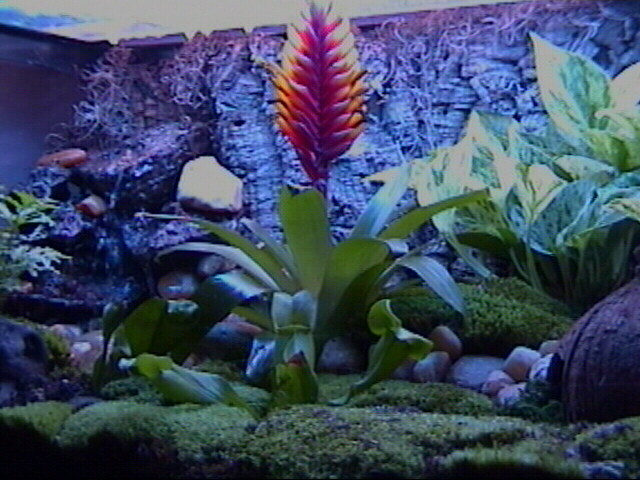 Leftside of tank