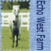Echo West farm avatar