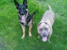 Tasha and Avy