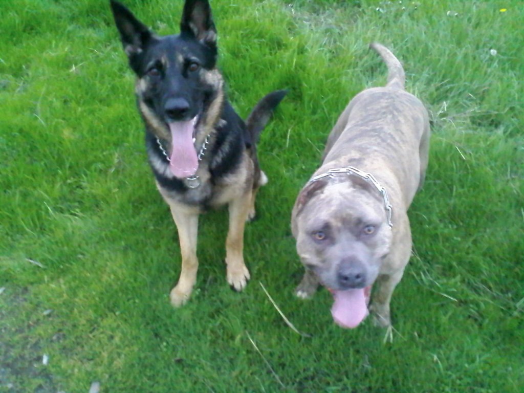 Tasha and Avy