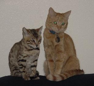 Dexter and Hailey