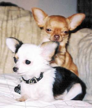 Joshua & Haleigh.